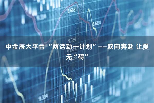 中金辰大平台 “两活动一计划”——双向奔赴 让爱无“碍”